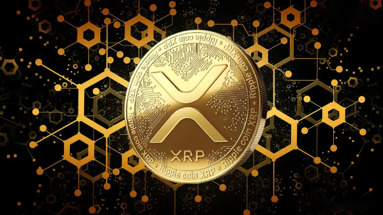 XRP Dominates the Cryptocurrency Market